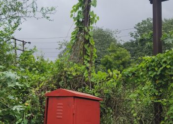 आंबेडकर नगरात महावितरणच्या दुर्लक्षामुळे तासन्तास वीजपुरवठा खंडित; नागरिक संतप्त