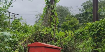 आंबेडकर नगरात महावितरणच्या दुर्लक्षामुळे तासन्तास वीजपुरवठा खंडित; नागरिक संतप्त